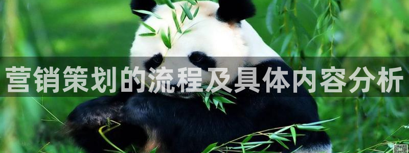 必赢bwinapp