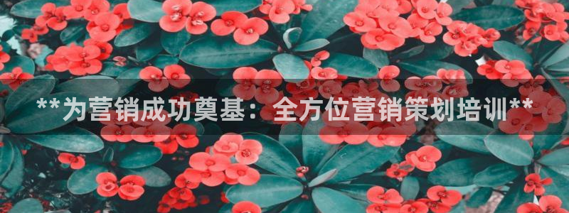 必赢bwinapp