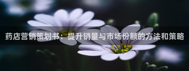 必赢科技中国有限公司
