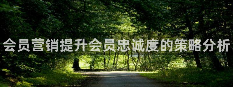 必赢网站是哪一个公司的