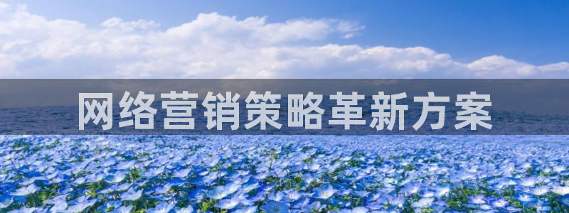 必赢平台网站多少