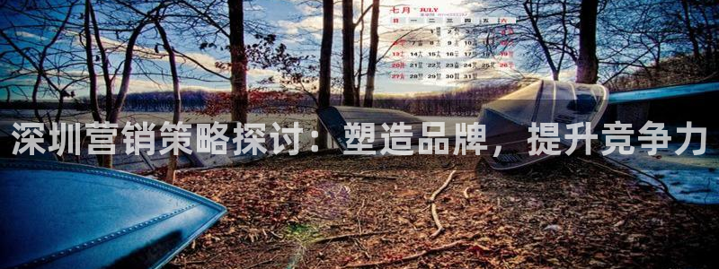 必赢app是干什么的