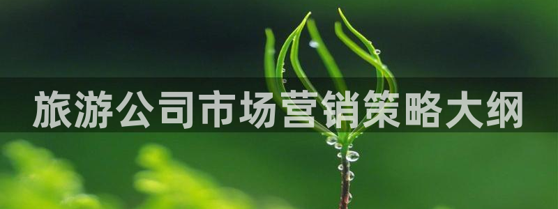 9965必赢棋官方网站怎么样