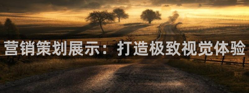 必赢app是干什么的