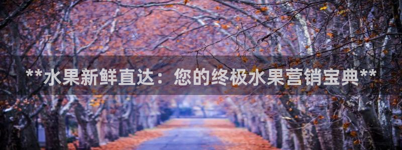 必赢官网网站