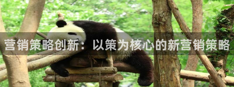 必赢国际官网登录