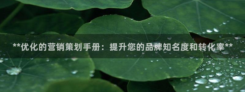 必赢平台官方电话