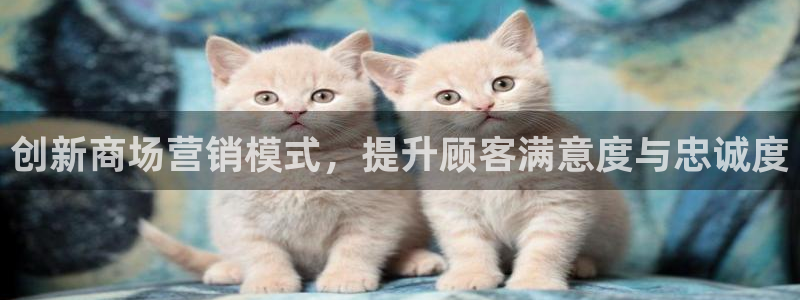 必赢集团winex