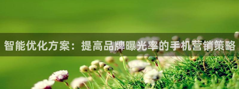 必赢官网app下载苹果版