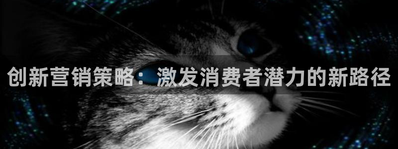 必赢手机app下载安装官网
