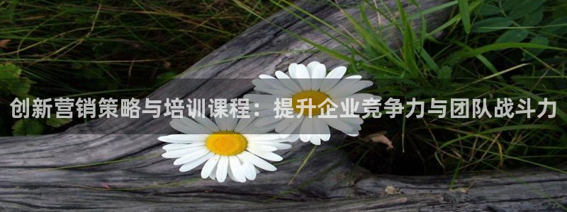 必赢国际软件下载