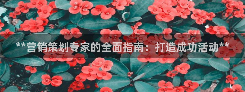 必赢766