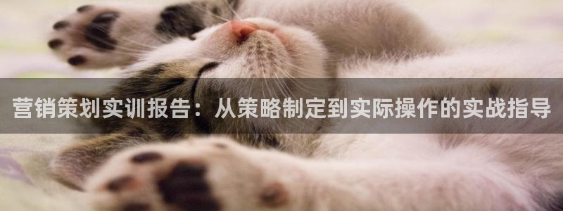 必赢线上网址是什么