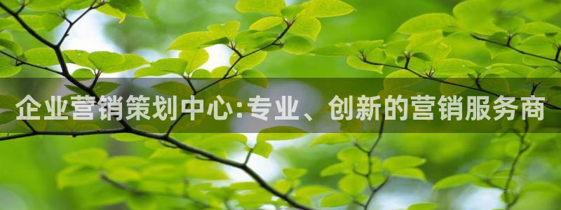 必赢游戏城