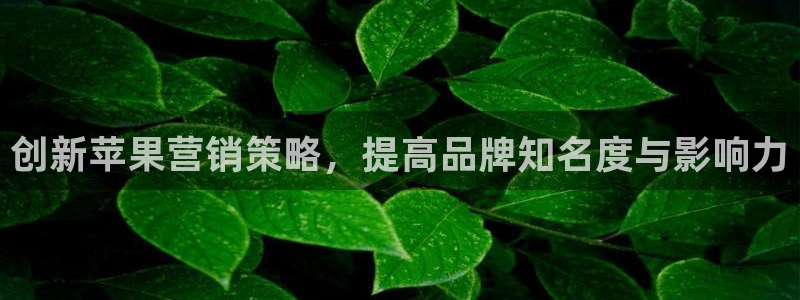 必赢官网入口下载