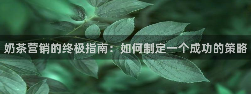 必赢官网网址多少号