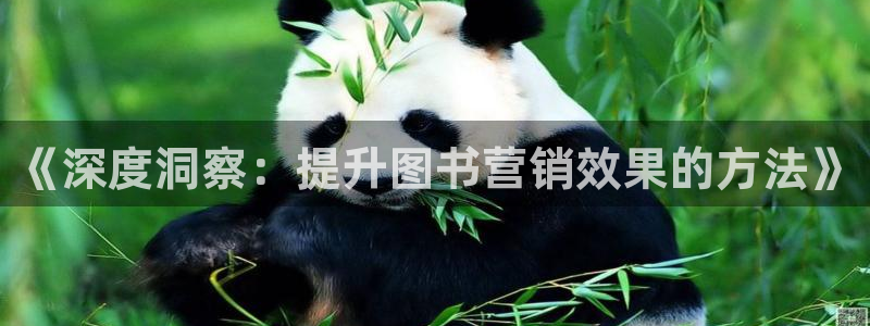 必赢这个平台怎么样