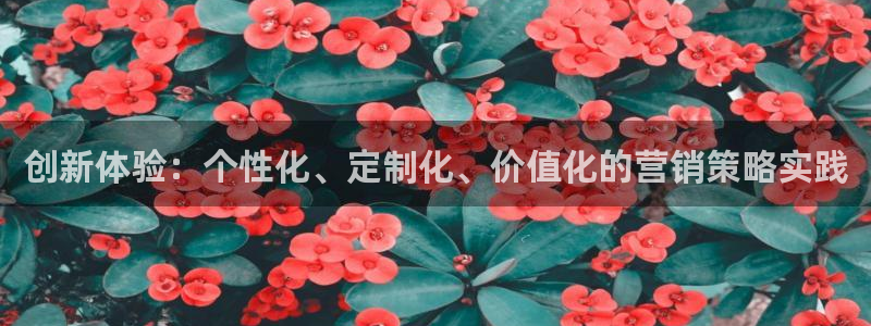 必赢官网网站首页下载