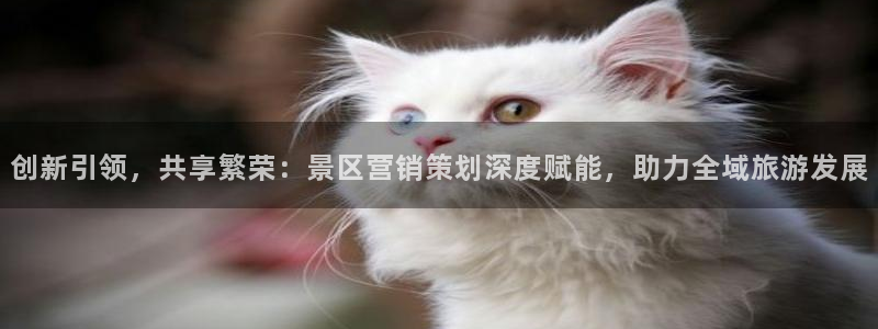 必赢3003平台