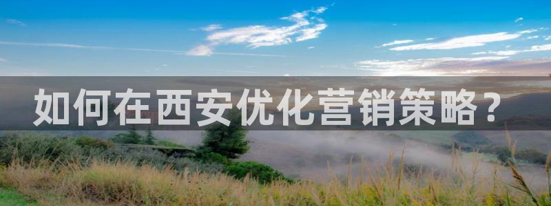 必赢平台怎么样