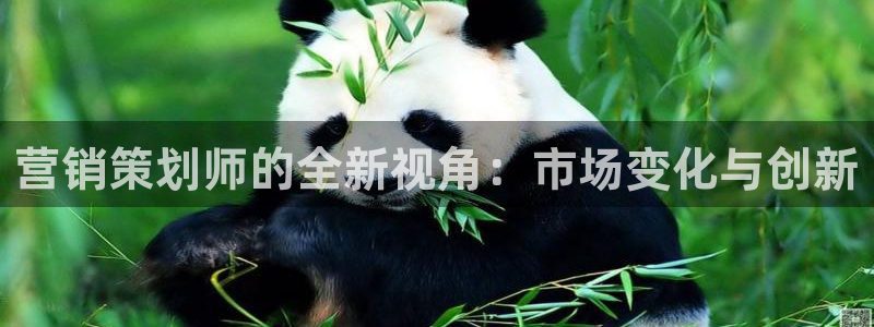 必赢这个软件怎么样