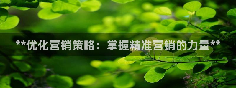 必赢8833扑鱼
