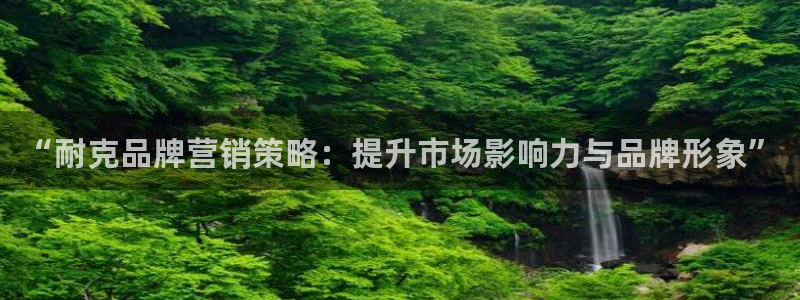 必赢科技有限公司