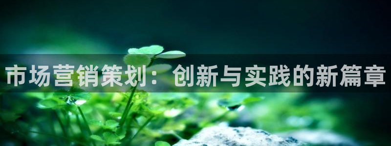 必赢官网网站入口