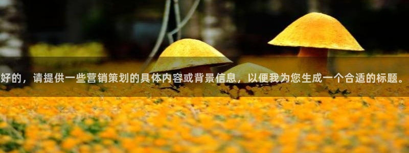 必赢客软件
