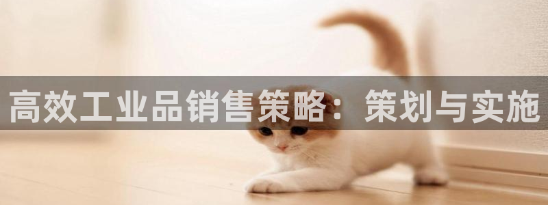 必赢官网网址多少号登录入口