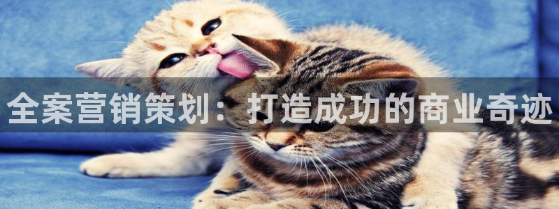 必赢平台官方网址