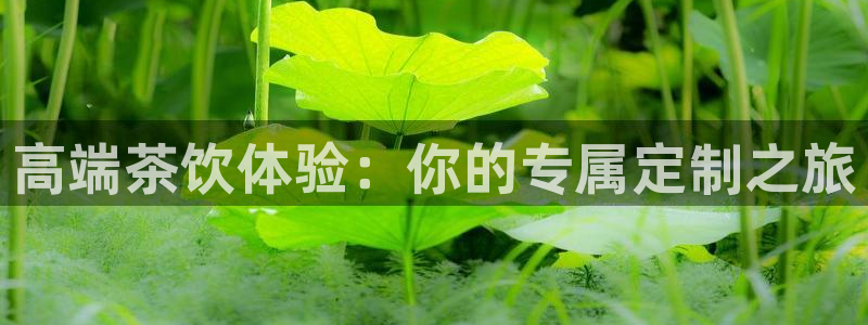 必赢线上网址是什么：高端茶饮体