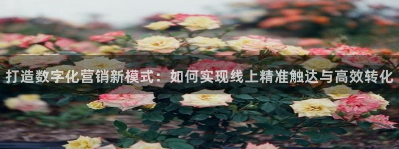 必赢首页