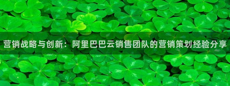 必赢这个平台怎么样啊：营销战略