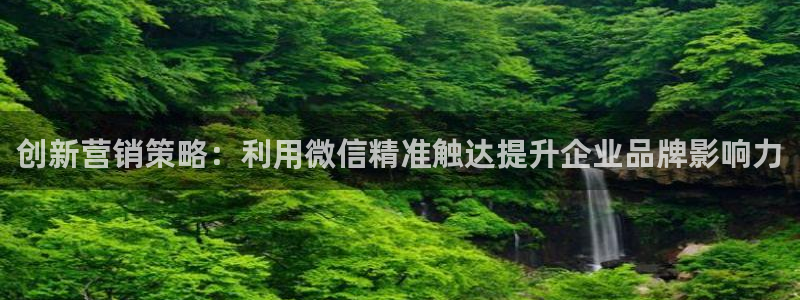 必赢app安卓版下载：创新营销