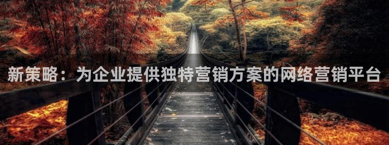 必赢九五