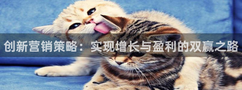 必赢app客户端下载：创新营销
