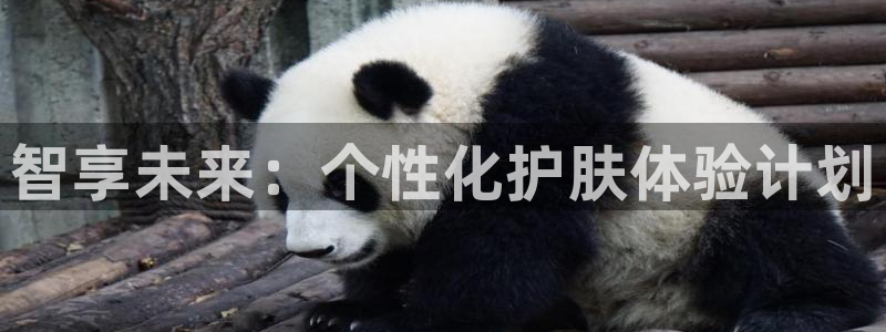 必赢官网网站首页入口