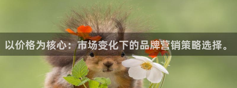 必赢app能挣钱吗是真的吗：以