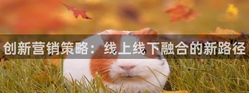 必赢平台怎么样知乎：创新营销策