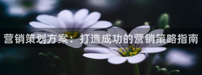 必赢手机app下载官网最新版