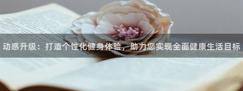 必赢平台网站多少