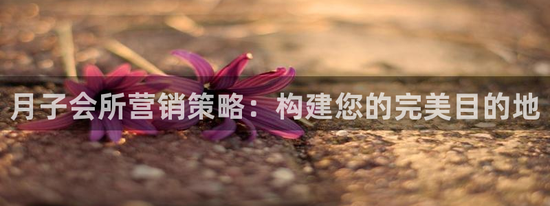 必赢网址手机主页打不开