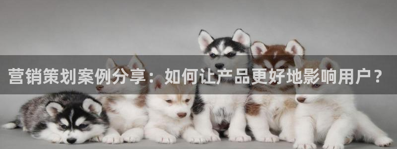必赢活动安卓下载app