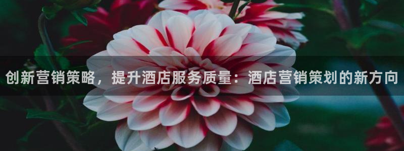 必赢这个软件怎么样