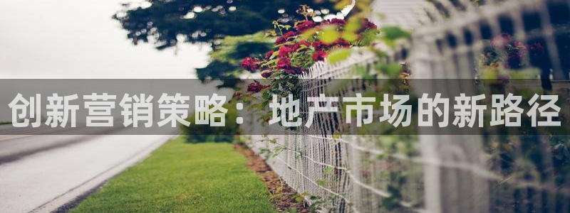 必赢网站