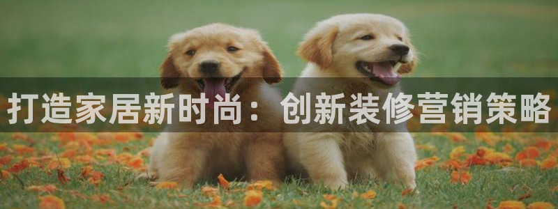 必赢272net手机版-新版a